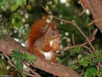 /album/fotogaleria-blog/images-19-jpg1/